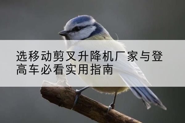 石楼电动升降机厂家-选移动剪叉升降机厂家与登高车必看实用指南