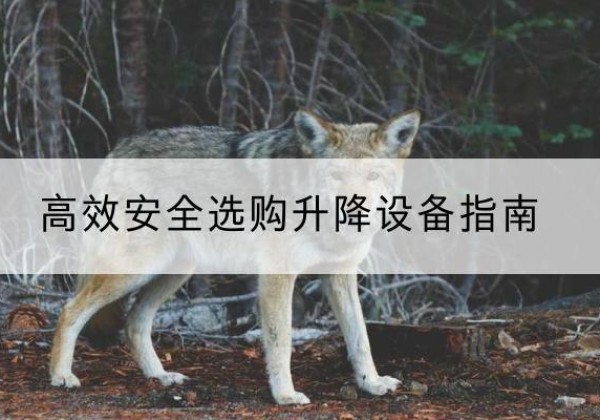 石楼升降货梯厂家推荐-*安全选购升降设备指南