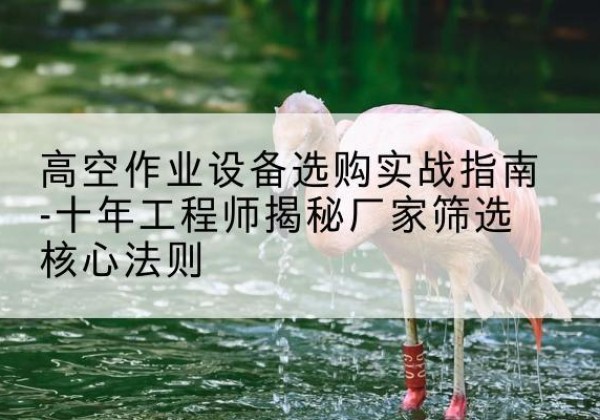 石楼剪叉式升降机厂家-高空作业设备选购实战指南-十年工程师揭秘厂家筛选核心法则